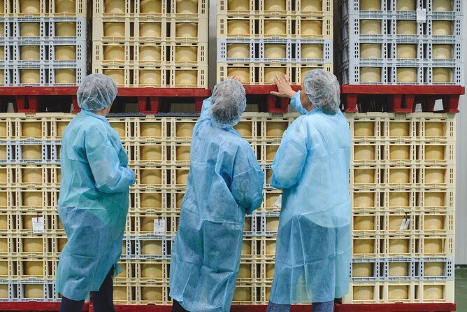 Visit La Antigua Cheese Factory (Cheese Tourism) - Who Will Love This Tour?
