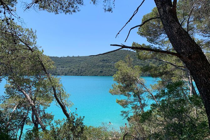 Visit magical Mljet Island with private speedboat - The Sum Up: Who Will Love This Tour?