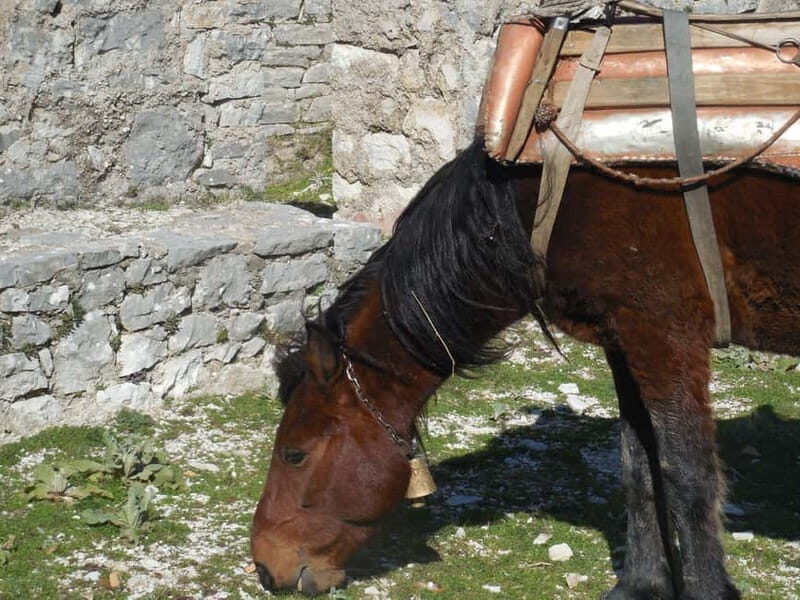 Visit Monastery of Mesopotam & Archaeological Park of Finiq - Key Points