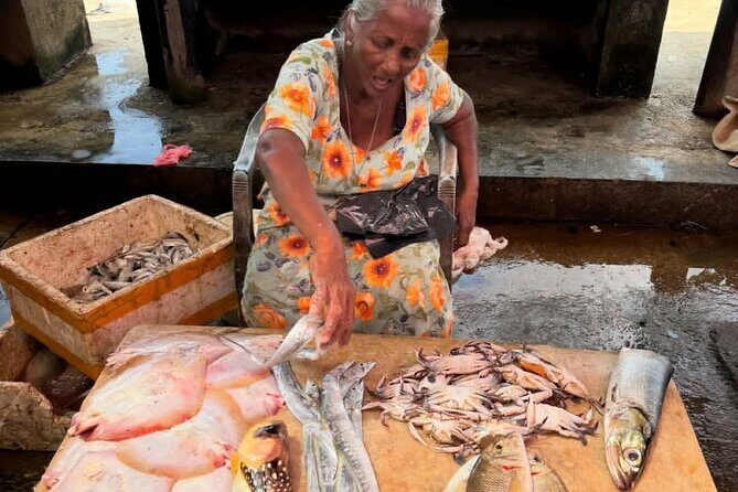 Visit Negombo by Scooty - All Inclusive - The Sum Up: Why This Tour Is a Great Choice