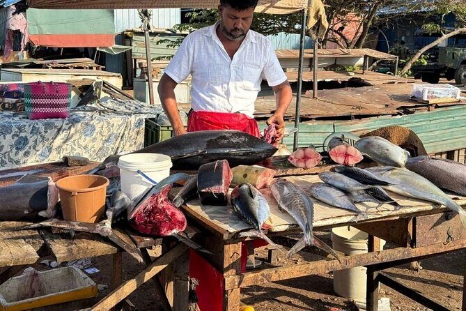 Visit Negombo by Scooty - All Inclusive - FAQ