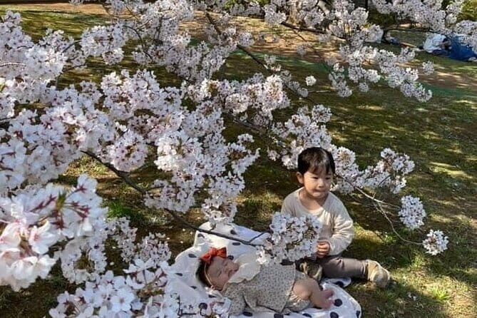 Visit Nokonoshima Island with Natural Attraction Pass - Who Should Consider This Tour?