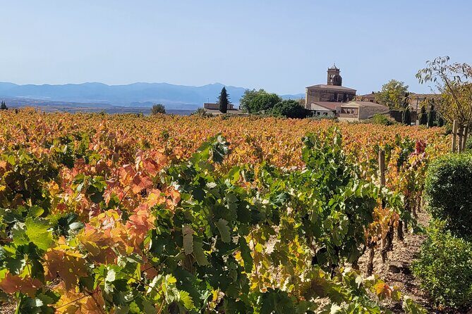 Visit of Marques de Riscal & Boutique Winery from Bilbao - Frequently Asked Questions