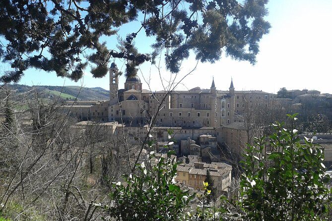 Visit of the Ducal Palace of Urbino - Discover Urbino’s Ducal Palace with a Passionate Guide