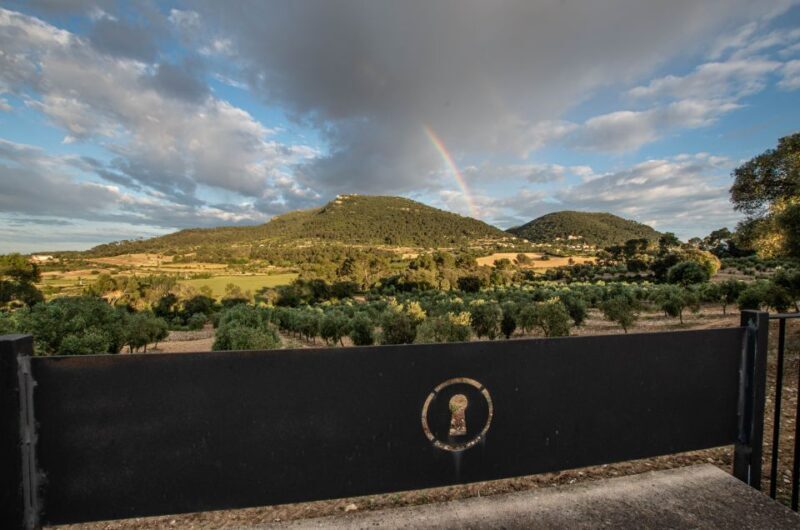Visit of the olive grove, olive oil tasting and snack - Key Points