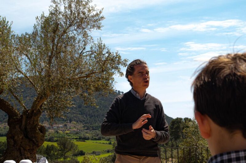 Visit of the olive grove, olive oil tasting and snack - What’s Included and How It Works