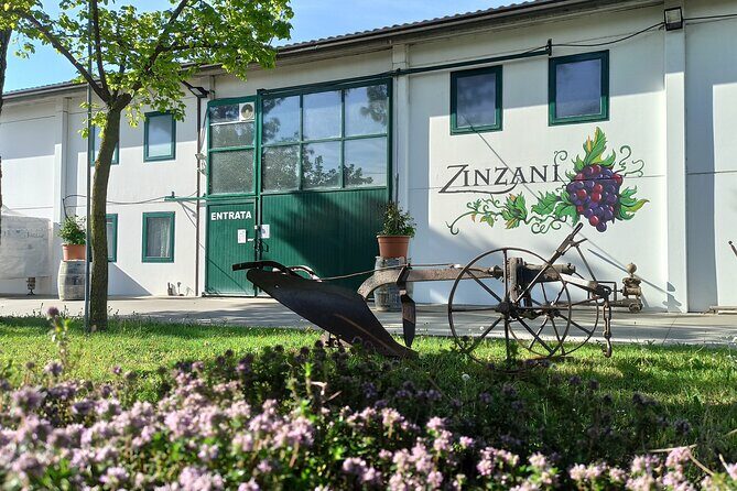 Visit of the Winemaker with Tasting of Typical Products in Faenza - Discovering a Family-Run Winery in Faenza: A Genuine Taste of Romagna