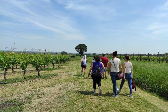 Visit of the Winemaker with Tasting of Typical Products in Faenza - Summary: Why This Tour Stands Out