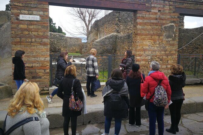 Visit Pompeii with an expert professional guide (2/3 hours) - The Itinerary in Detail