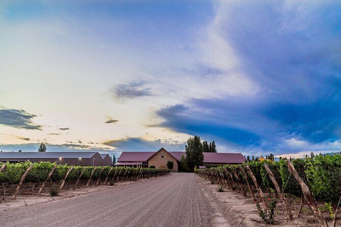 Visit Pulenta Estate Winery and Gourmet Lunch at Susana Balbo - An In-Depth Look at the Pulenta and Susana Balbo Day Tour