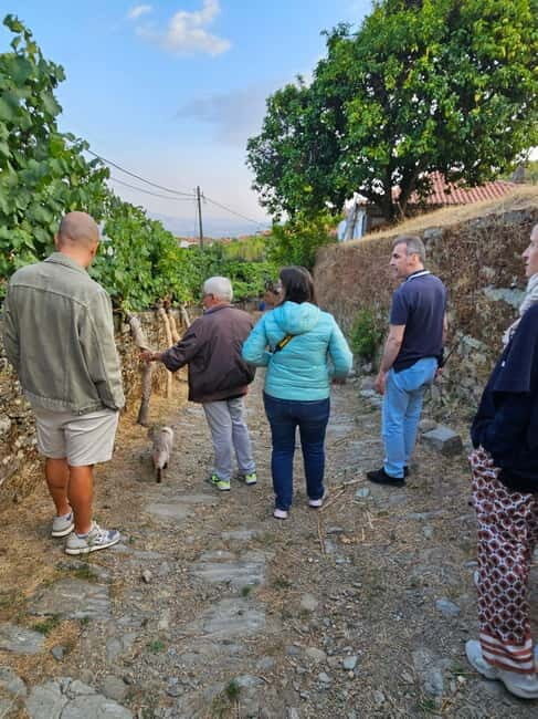 Visit Quinta de Sobre a Fonte with wine tasting and transportation - A Practical Guide to the Tour Experience