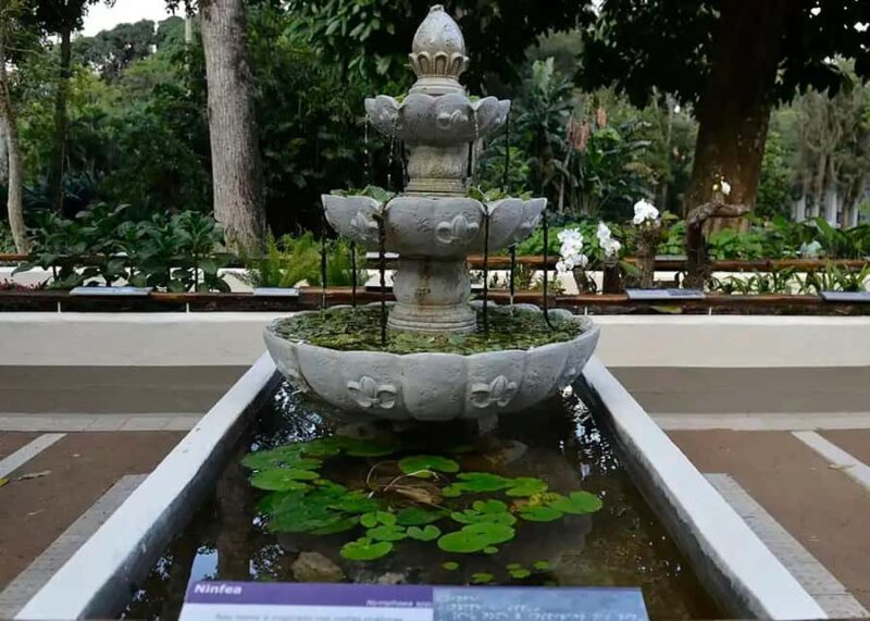 Visit Rios Botanical Garden: Nature, History, and Wildlife - FAQ