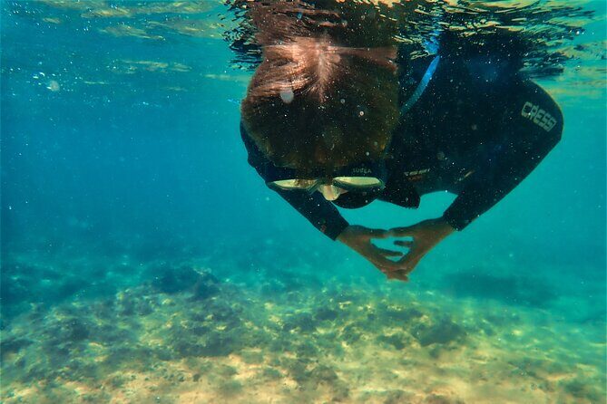 Visit Secret Caves, Hidden Beaches and Snorkel in Alvor, Portugal - FAQ
