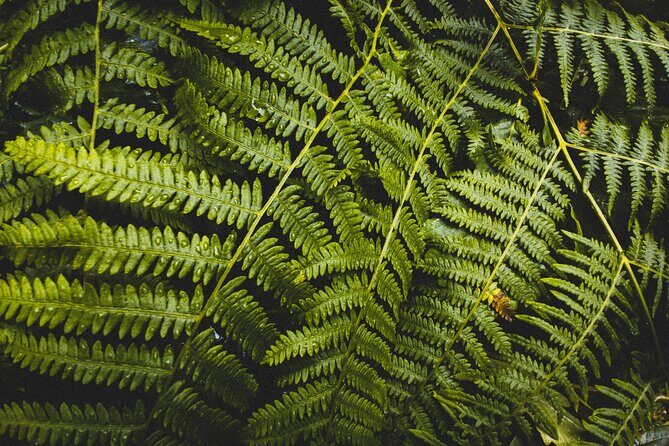 Visit Snoqualmie and Hike to Twin Falls (Transportation included) - FAQ