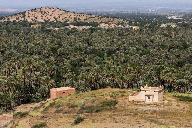 Visit Taroudant and Tiout 1 day From Agadir - Who Should Consider This Tour?