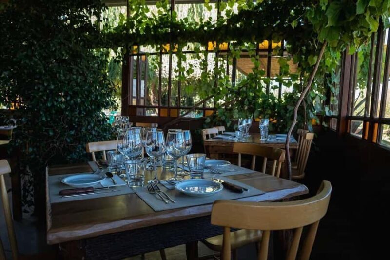 Visit & Tasting at Salentein + Lunch at La Azul - Value and Practical Tips