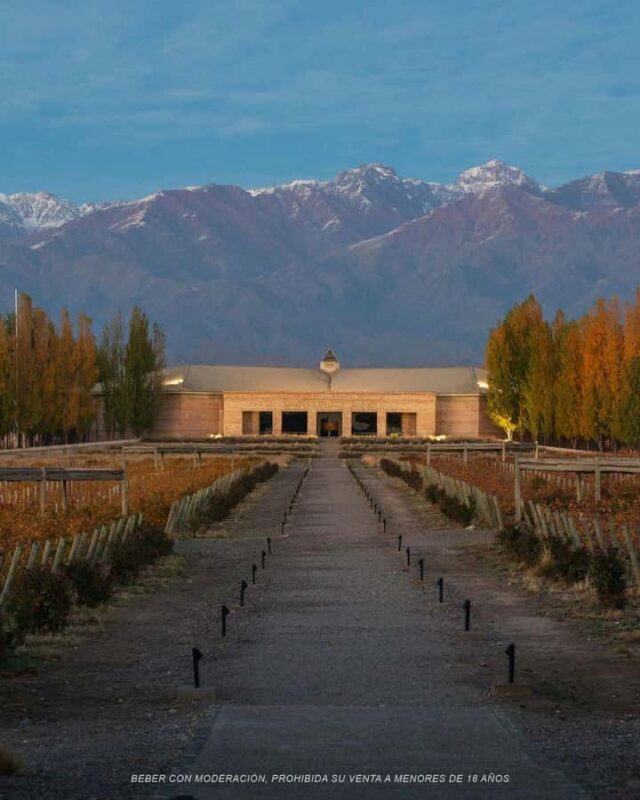 Visit & Tasting at Salentein + Lunch at La Azul - Frequently Asked Questions