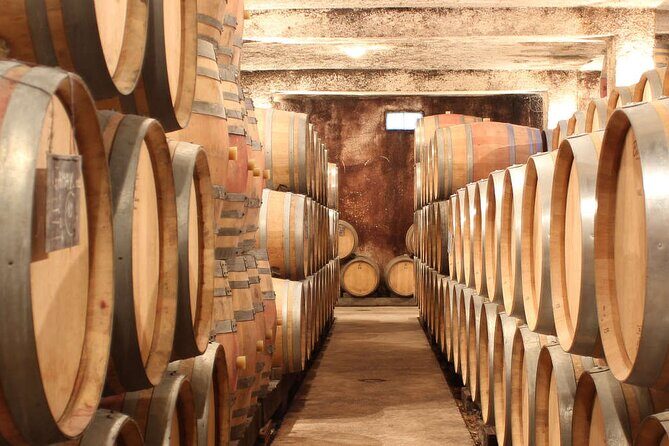 Visit-Tasting-Sale - Practical Tips for Your Visit