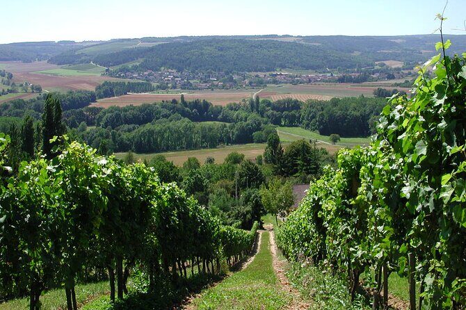 Visit-Tasting-Sale - The Sum Up