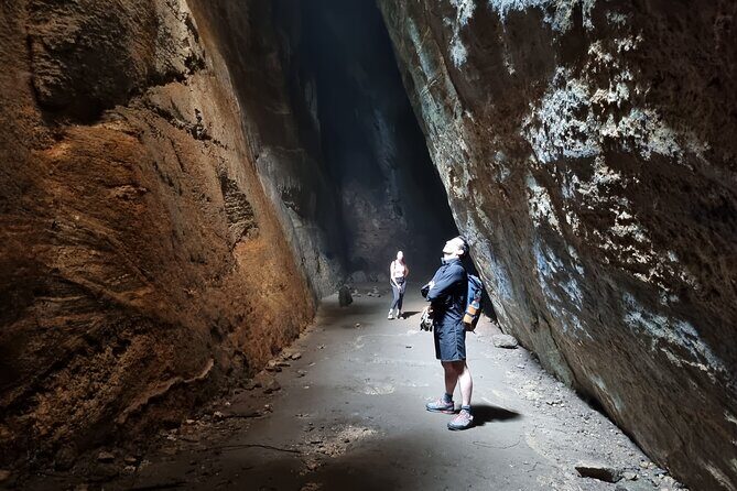 Visit the Best Spots in Tijuca Forest - Hike to Caves & Falls - Exploring Tijuca Forest in Depth