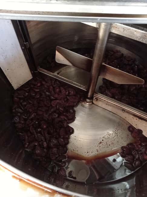 Visit the distillery of Ischia island - Why This Experience Works Best for You