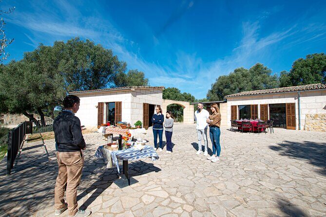Visit the Finca and olive grove, extra virgin olive oil tasting and snack - Final Thoughts