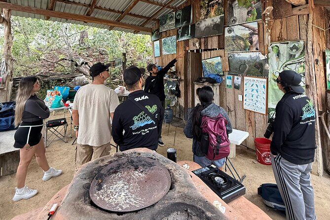 Visit the Sanctuary of the Guacamayas in free life - Key Points