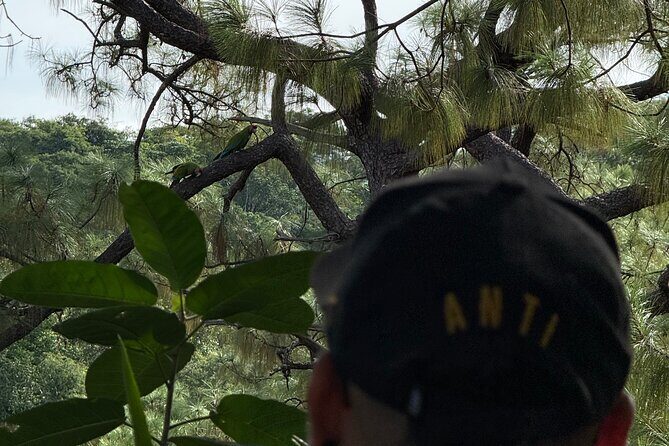 Visit the Sanctuary of the Guacamayas in free life - Final Thoughts