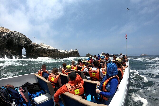 Visit the Sea Lions in Palomino Islands, in Lima Peru - Practical Tips for a Smooth Experience