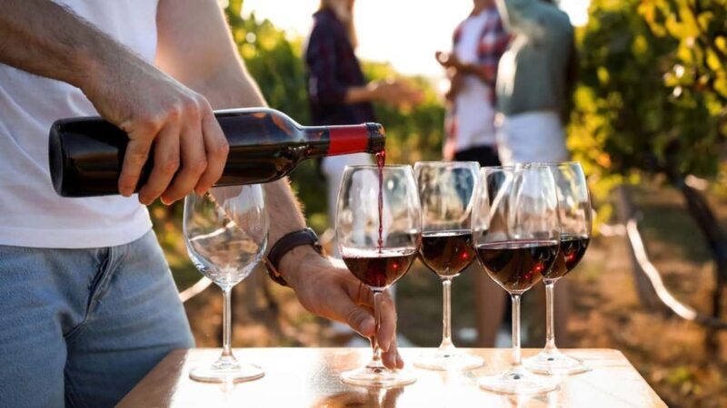 Visit the vineyards and discover Bandol wines - Exploring the Bandol Wine Tour: A Deep Dive