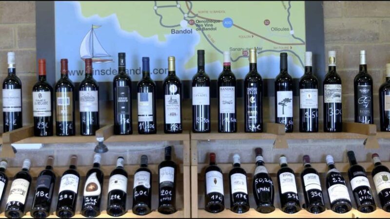 Visit the vineyards and discover Bandol wines - Considerations and Practical Tips