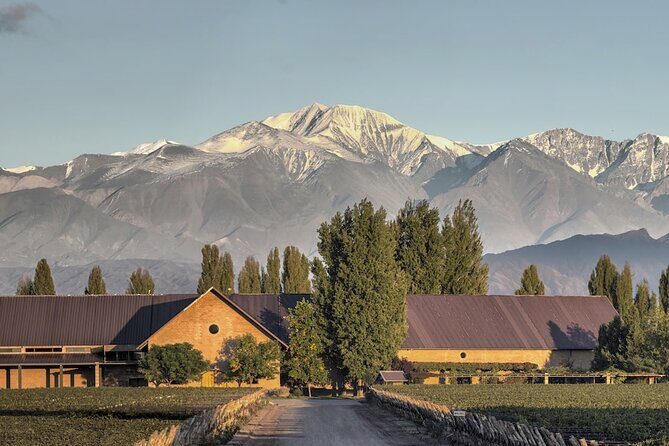 Visit to 2 Wineries and Lunch Top. Private transfer. - Mendozas Premier Wine Experience: Private Visits to Susana Balbo and Quimera with Lunch