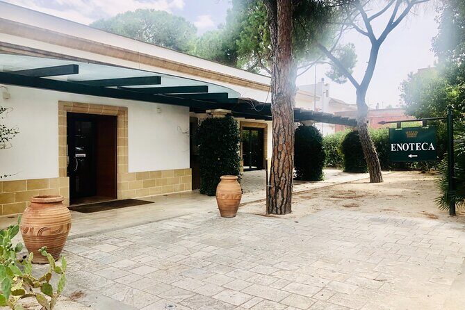 Visit to a Winery in Salento with Wine tasting and light lunch. From Lecce - Final Thoughts