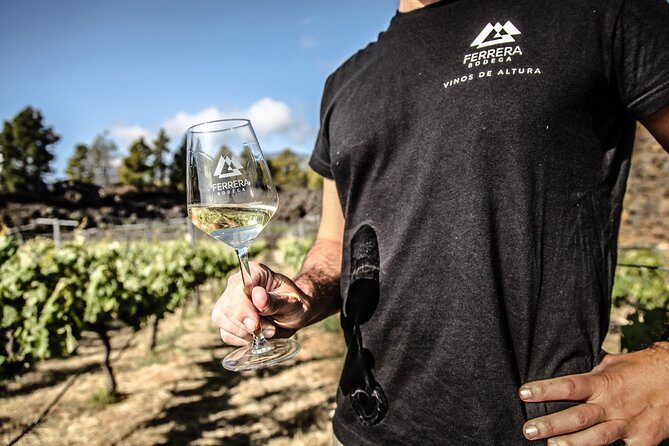 Visit to Arafo Mountain Vineyard and Organic Wine Tasting - An In-Depth Look at the Arafo Mountain Vineyard Tour