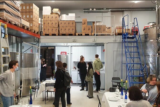 Visit to Authentic Finnish Berry Winery, Tasting Included - Who Should Consider This Tour?