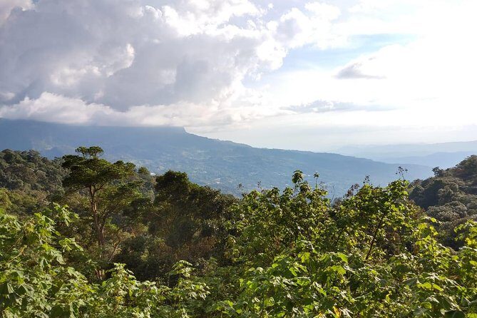 Visit to Chicaque Natural Park Private Tour from Bogotá. (8 Hrs.) - Why This Tour Works for Different Travelers