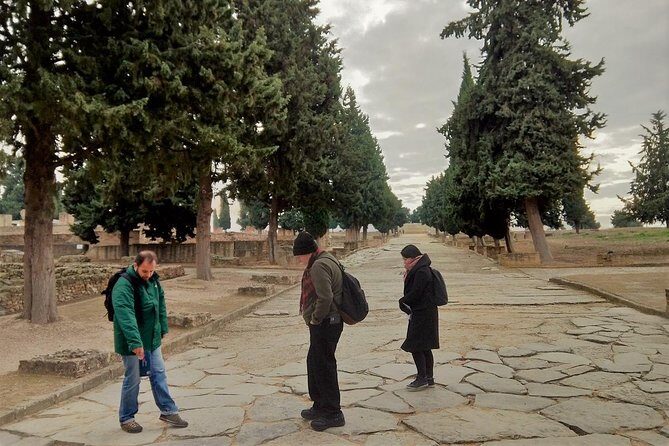 Visit to Italica Roman Ruins Tour tickets included - Key Points