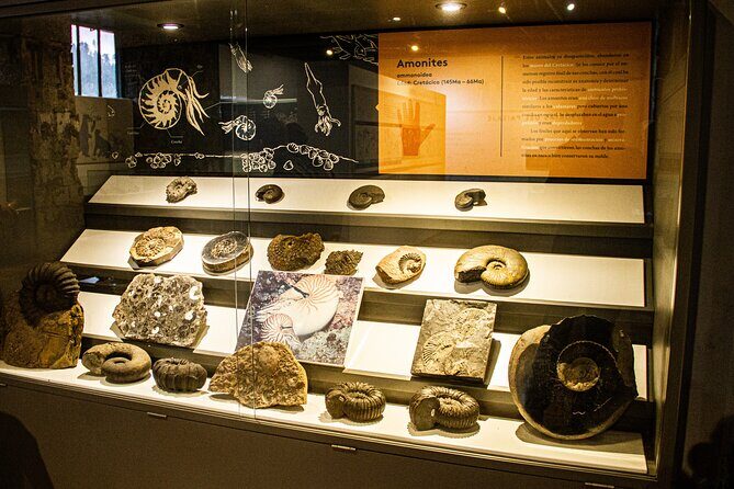 Visit to Nemocon Salt Mine Private Tour (5 Hrs.) - Who Would Enjoy This Tour?