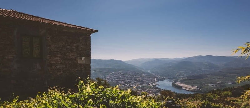 Visit to Quinta de Sobre a Fonte with wine tasting - pet friendly - The Experience: What Makes It Special