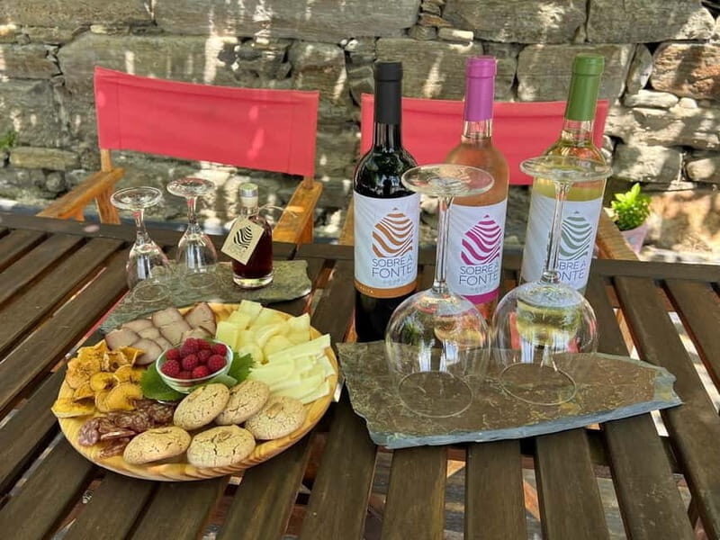 Visit to Quinta de Sobre a Fonte with wine tasting - pet friendly - Who Will Love This Tour?