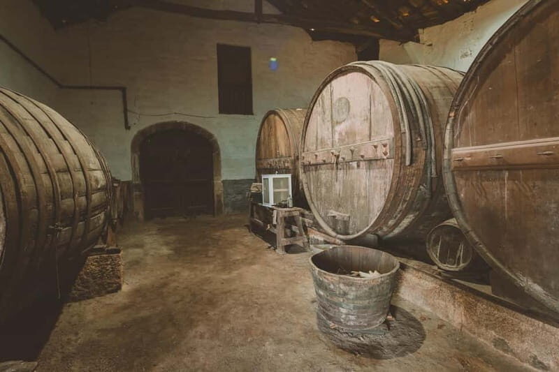 Visit to Quinta de Sobre a Fonte with wine tasting - pet friendly - Final Thoughts