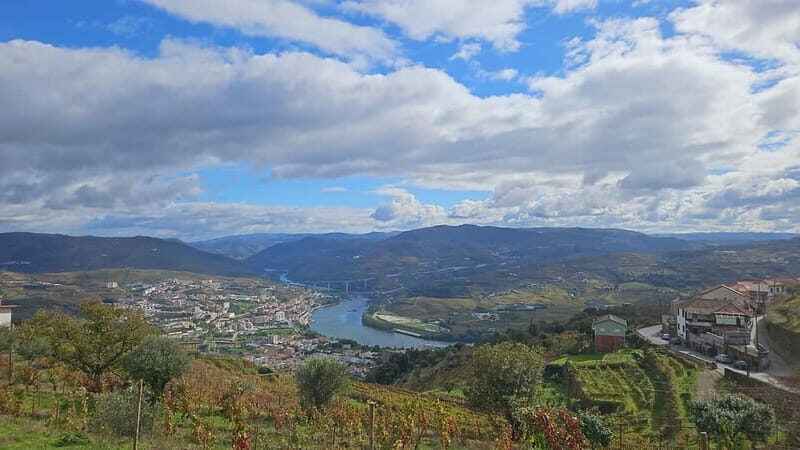 Visit to Quinta de Sobre a Fonte with wine tasting - pet friendly - FAQ
