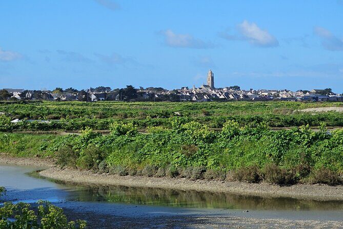 Visit to Saline - Guérande Salt Marshes - Key Points