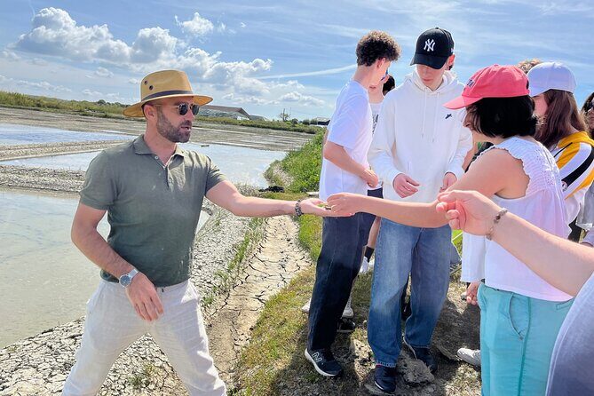 Visit to Saline - Guérande Salt Marshes - Who Will Enjoy This Tour?