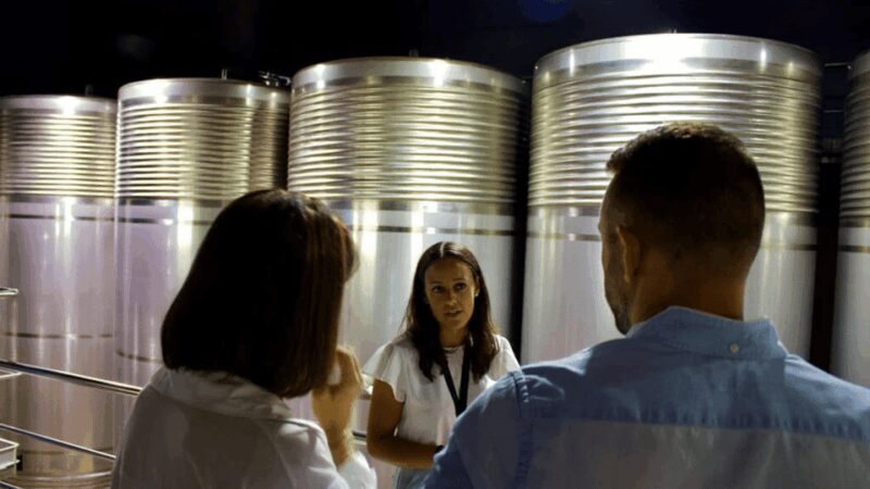 Visit to the Adegas Valmiñor winery and tasting - Why It Works Well for Travelers
