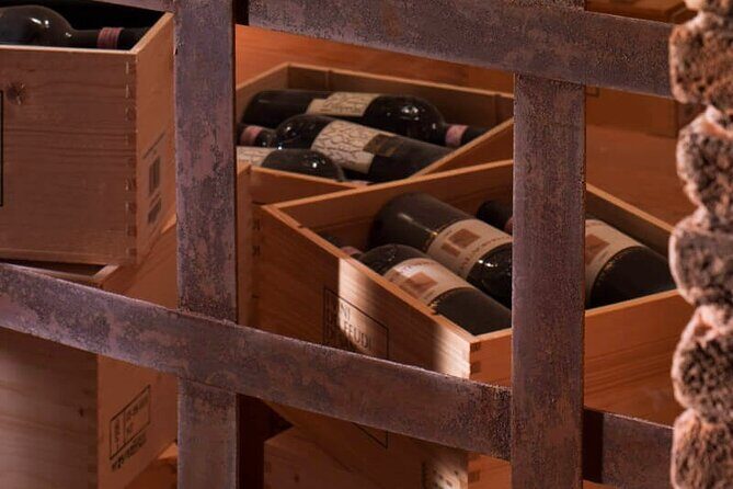 Visit to the cellar at the Feudi di San Gregorio da Sorrento - Final Thoughts