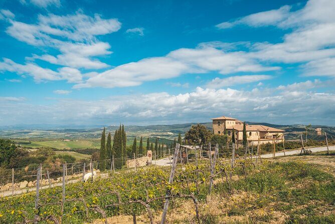 Visit to the Cellar with Wine & Food Tasting over the Val d'Orcia - Key Points