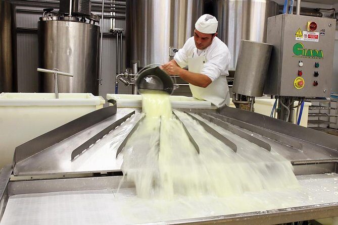Visit to the dairy - Who Should Consider This Tour?