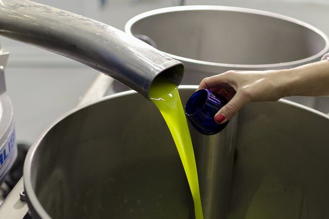 Visit to the oil mill with EVOO experiences in Cuenca - Final thoughts