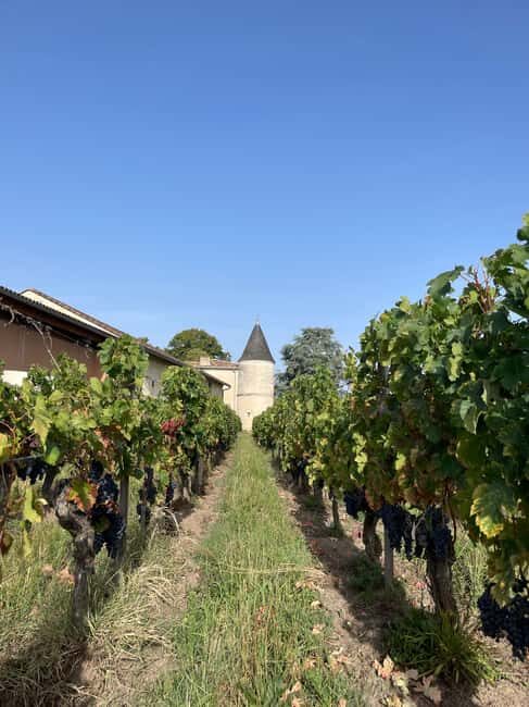 Visit to the property and wine/cheese pairing workshop - Why This Tour Offers Good Value
